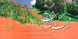 خوشا به حال گیاهان که عاشق نورند