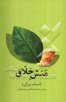 بینش خلاق (اصول و قواعد بازی زیبای زندگی)