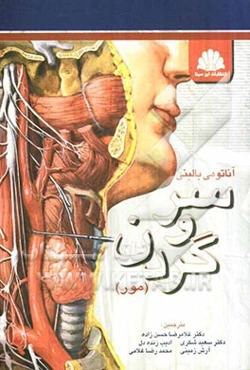 آناتومی سر و گردن بالینی