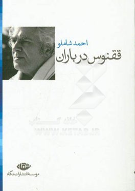 ققنوس در باران