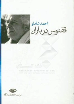 ققنوس در باران