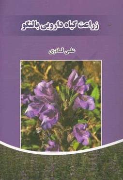 زراعت گیاه دارویی بالنگو