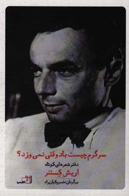 سرگرم چیست باد وقتی نمی‌وزد؟: دفتر شعرهای کوتاه