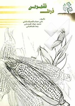 ذرت شیرین = Sweet corn