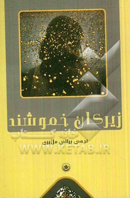 زیرکان خموشند