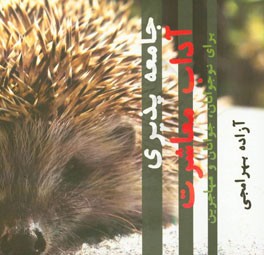 جامعه‌پذیری آداب معاشرت برای نوجوانان، جوانان و مهاجرین