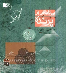 بی‌تاب‌تر از پرنده: دریافتی از دعای عرفه