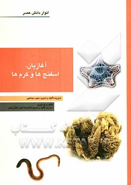 آغازیان، اسفنج‌ها و کرم‌ها