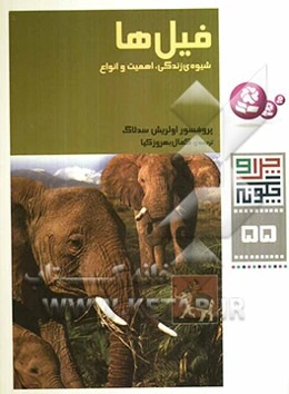 فیل‌ها: شیوه‌ی زندگی، اهمیت و انواع