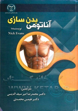 آناتومی بدن‌سازی