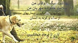 بهداشت سگ با وفای من، سلامت خانواده مهربان من