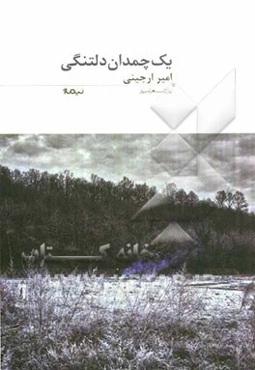 یک چمدان دلتنگی