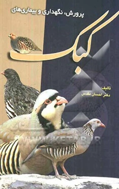 پرورش، نگهداری و بیماری‌های کبک