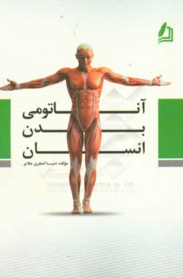 آناتومی بدن انسان