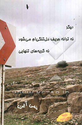 دیگر نه ترانه حریف دل تنگی‌ام می‌شود نه گریه‌های تنهایی نمی‌آیی؟