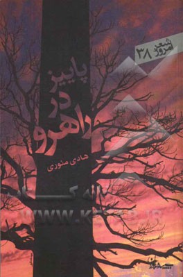 پاییز در راهرو: مجموعه شعر