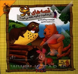 تار عنکبوت چگونه بافته می‌شود؟