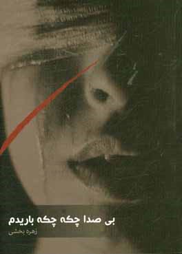 بی‌صدا چکه چکه باریدم