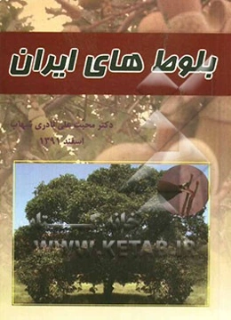 بلوط‌های ایران