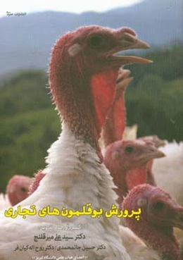 پرورش بوقلمون‌های تجاری