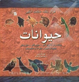 هزار نکته شگفت‌انگیز حیوانات: پستانداران، پرندگان، خزندگان، دوزیستان، جانوران دریا، حشرات، عنکبوتیان