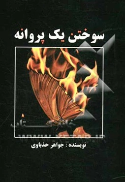 سوختن یک پروانه