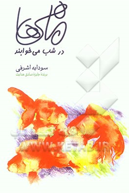 ماهی‌ها در شب می‌خوابند (رمان ایرانی