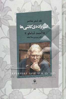 نقد شعر معاصر امیرزاده‌ی کاشی‌ها "شاملو