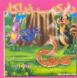 دارکوب فداکار