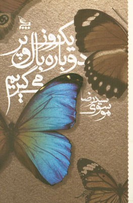 یک روز دوباره بال و پر می‌گیریم