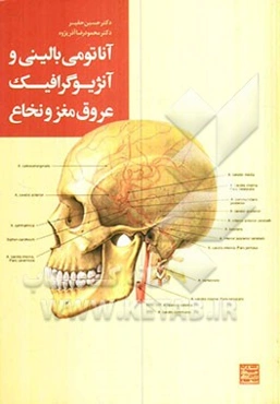 آناتومی بالینی و آنژیوگرافیک عروق مغز و نخاع