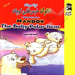 نانوک خرس قطبی کوچک