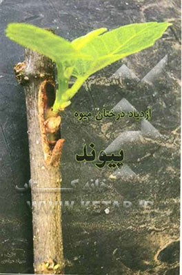 ازدیاد درختان میوه: پیوند