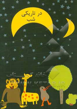 در تاریکی شب