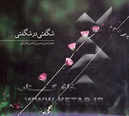 شگفتی در شگفتی