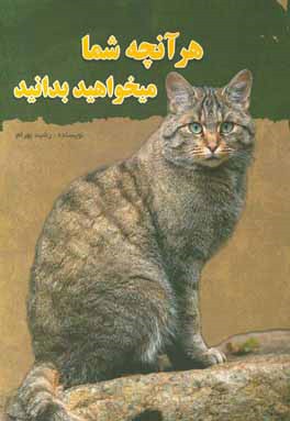 هر آنچه شما می‌خواهید بدانید