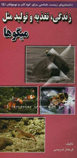 زندگی، تغذیه و تولید مثل میگوها