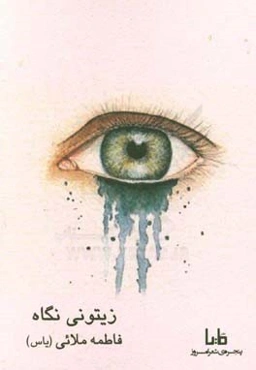 زیتونی نگاه