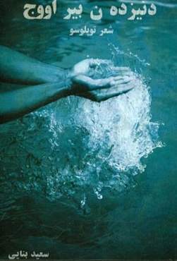 دنیزده ن بیراووج (مجموعه شعر)