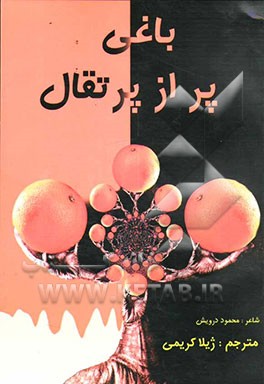 باغی پر از پرتقال