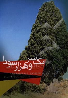 یک سر و هزار سودا