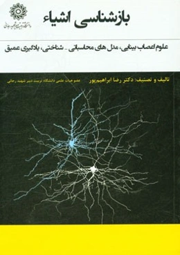 بازشناسی اشیاء: علوم اعصاب بینایی، مدل‌های محاسباتی - شناختی، یادگیری عمیق