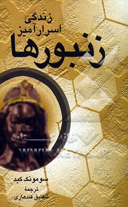 زندگی اسرارآمیز زنبورها