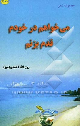 می‌خواهم در خودم قدم بزنم (مجموعه شعر)