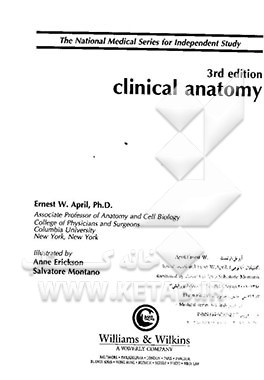 Clinical anatomy