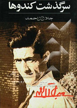 سرگذشت کندوها