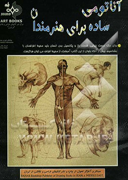 آناتومی ساده برای هنرمندان