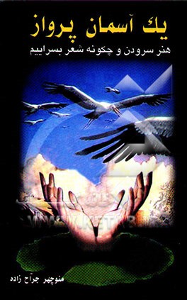 یک آسمان پرواز: چگونه نوسرایی کنیم؟: هنر سرودن و الفبای ساختار شعر و ترانه و مکتب‌های ادبی حکایت ...