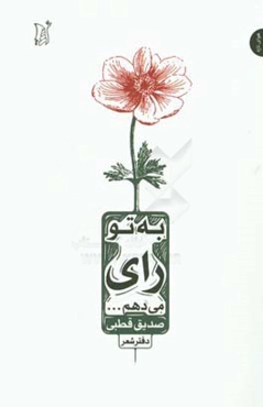 به تو رای می‌دهم