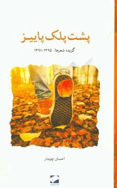 پشت پلک پاییز: گزیده شعرها 1395 - 1391